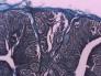 14_060x_1.jpg